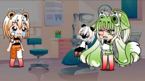 морские свинки: первый раз в 5 лет пошёл удалять зуб