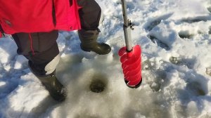 VID_20260301_161326.mp4