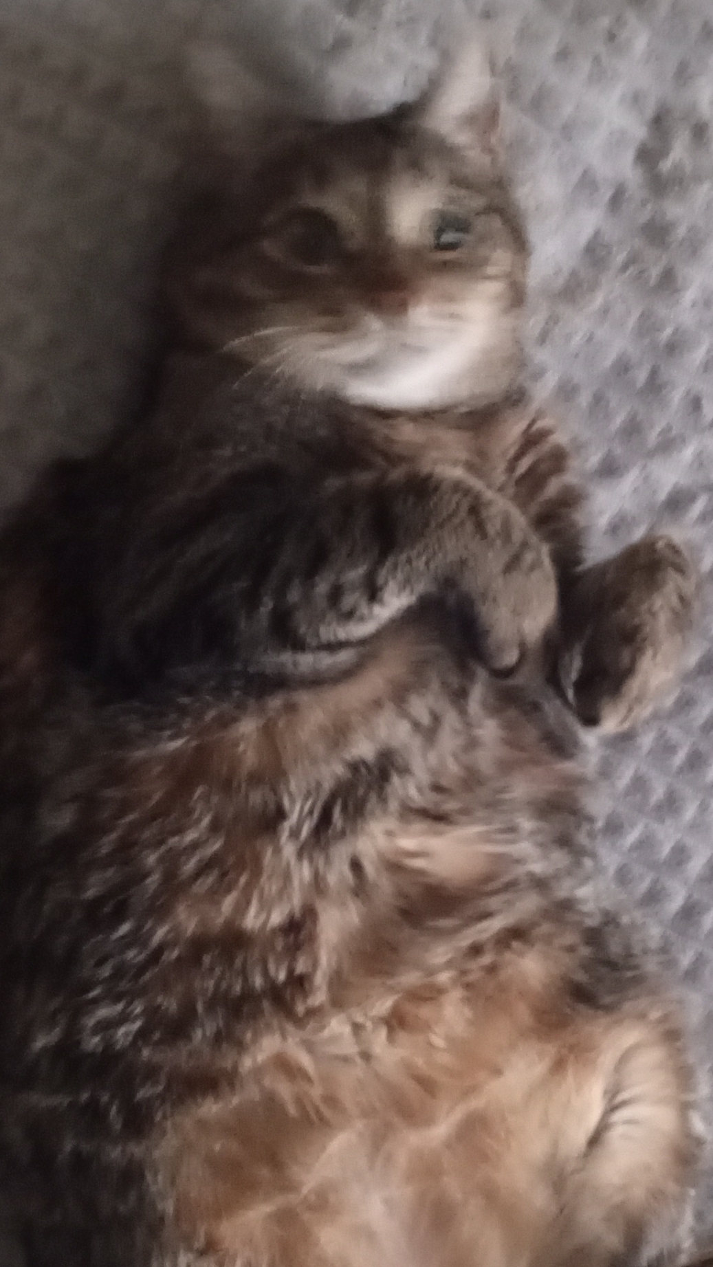 строим снежную фигуру с лупой