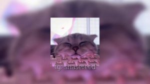 вайбовый плейлист 🎧 60 минут ( speed up )