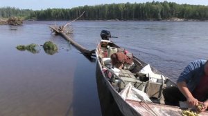 Встреча в районе 3 - ей каменной гряды . Река Зея Экспедиция Зейского заповедника