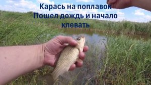Карась на поплавок. Пошел дождь и начало клевать!