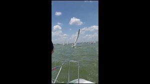 Регата Таганрог 5 причал 2024г