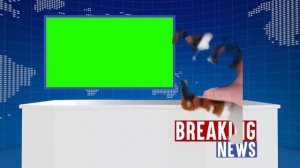 новости от щенка бернского зеннехунда Арнольда