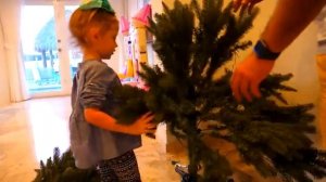 Готовимся к Новому Году Покупаем ёлку и Деда Мороза [get.gt]