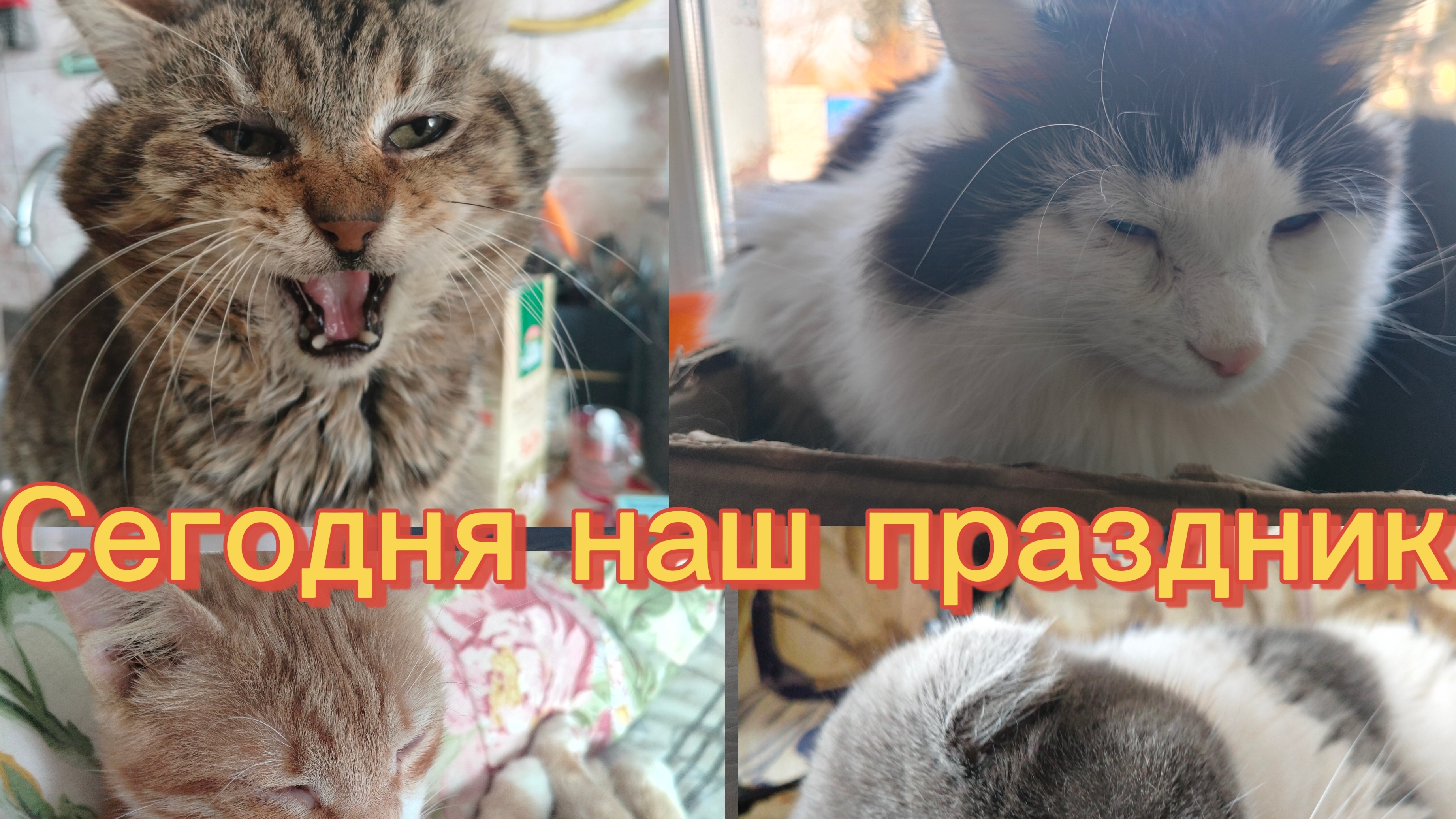 Сегодня наш праздник