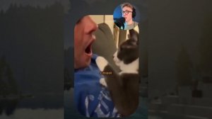 ВИРУСНЫЕ_ВИДЕО_Подборка_смешные_моменты_№9