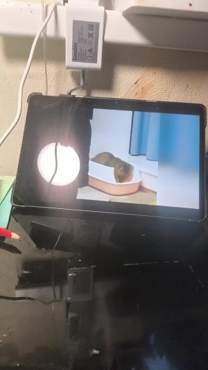 пытаюсь не засмеяться