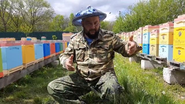 Как Выводить Пасеку из Роения!!! смотреть онлайн