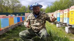 Как Выводить Пасеку из Роения!!!