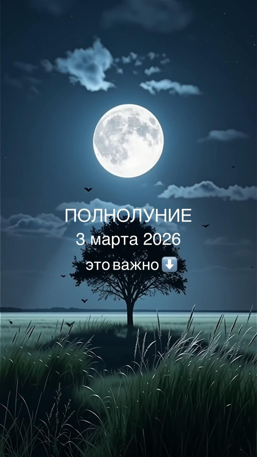 🌕 ПОЛНОЛУНИЕ 3 марта 2026, ПОЛНОЕ ЛУННОЕ ЗАТМЕНИЕ