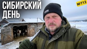 Пришлось продать всех телят! Что будет дальше не знаем. Жизнь в Омской деревне.