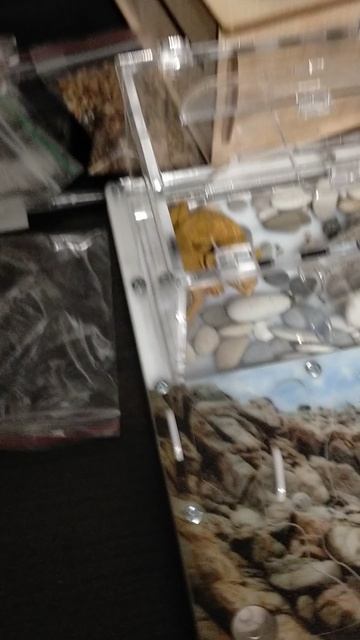 думал новая личинка а это семечка😭😭😭😭😭😭😭😭😭😭😭😭