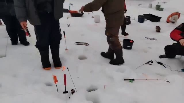 01.03.25 г. РК Волна. смотреть онлайн