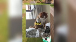 ВИРУСНЫЕ_ВИДЕО_Подборка_смешных_моментов_№6