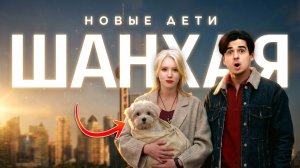 Собаки вместо детей? Новый тренд Китая