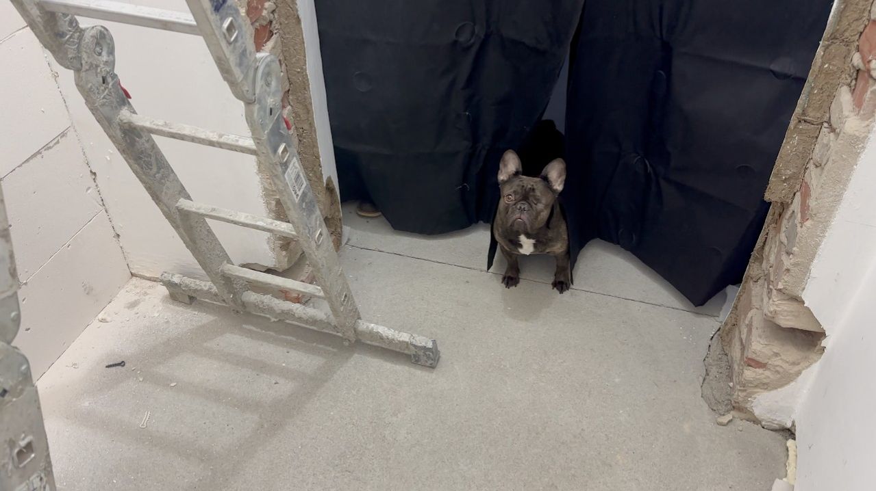 Жизнь вне орхидей- первый раз ЭТО делал в жизни и в доме на Юге оказалось СПРАВИТСЯ ДАЖЕ РЕБЁНОК