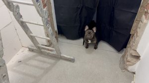 Жизнь вне орхидей- первый раз ЭТО делал в жизни и в доме на Юге оказалось СПРАВИТСЯ ДАЖЕ РЕБЁНОК