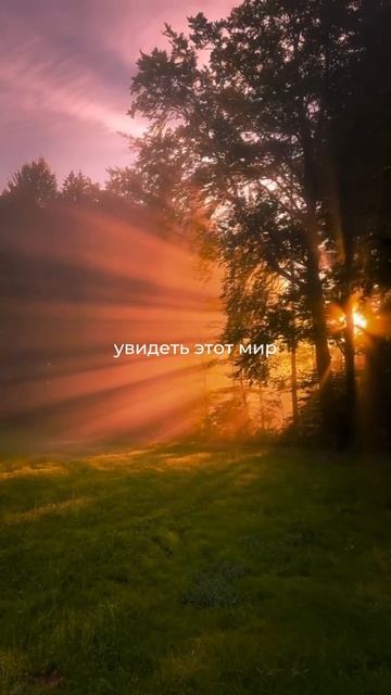 ✨• Пусть узнают, что в этом Твоя рука, что Ты, Господи, соделал это •🕊️
(Пс 108:27)