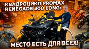 Квадроцикл PROMAX RENEGADE 300 LONG WINCH PRO: Место есть для всех! Полный ОБЗОР от X-MOTORS🔥