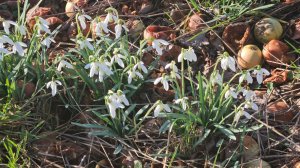 1 Марта... Тепло и мы гуляем.