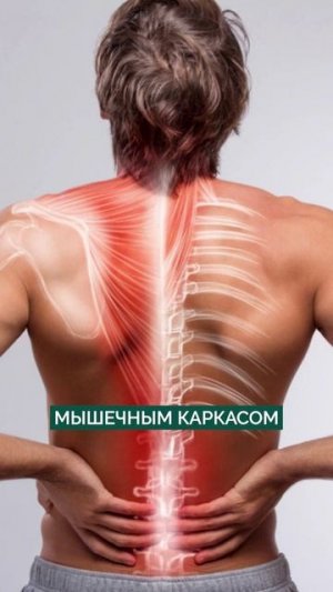 УБЕРИ утреннюю БОЛЬ в спине НАВСЕГДА! #спина #упражнения #здоровье