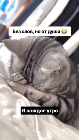 С добрым утром понедельника!!!