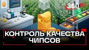 ГОСТ на чипсы впервые введут в России