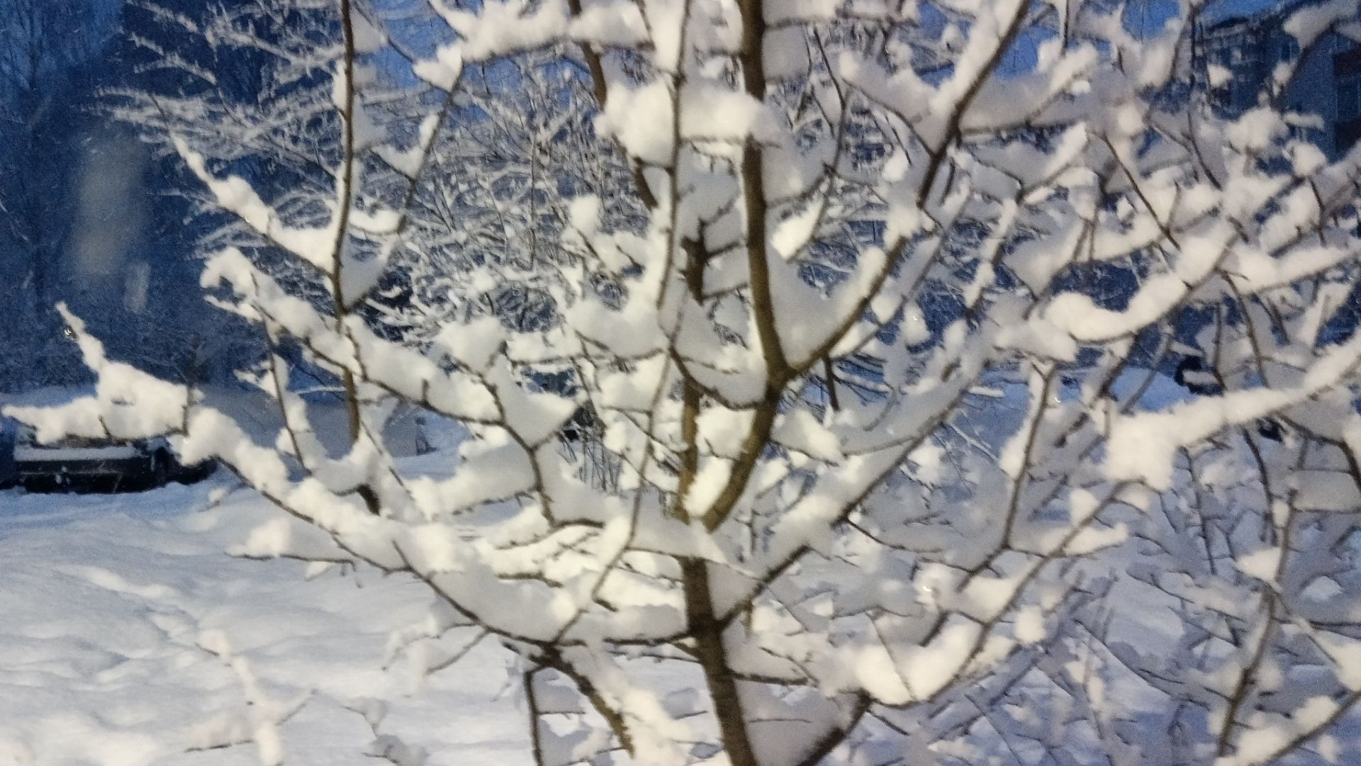 Желаю всем хорошей Недели и Настроения ❤️😘🔥