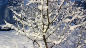 Желаю всем хорошей Недели и Настроения ❤️😘🔥