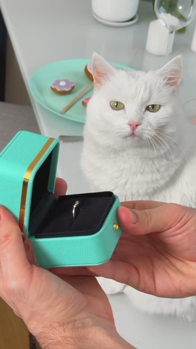 СДЕЛАЛ ЮЛЕ ПРЕДЛОЖЕНИЕ? 💍