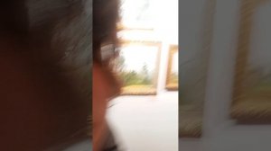 Архангельск. Музей.Январь 2026.