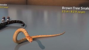 Насколько ВЕЛИКИ ЗМЕИ? 🐍 Реальные змеи и змеи из фильма | Эпическое сравнение размеров в 3D