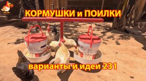 Кормушки и поилки для кур своими руками 231 🪚✂️ Пошаговая инструкция как сделать 🐔 🐓❣️