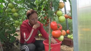 6 соток 24 июля 2021 года.  Хроника. Домой.