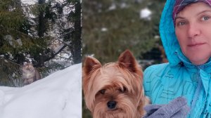 Поздний обед ,посадила цветочки .