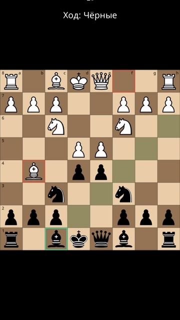 Играю в шахматы с Зиновием.