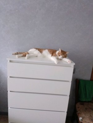 Стараемся попасть на таблицу лидеров в ттд