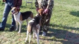 РПГ выжловки Ст.В.Гр.