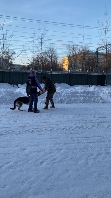 ВЕО Валентлайф Шерритэ (17мес), ЗКС, КЦ Сокольники №2 дополнительные занятия №1