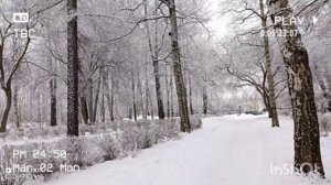 ДОМОСЕДСТВУ - НЕТ❗🚫МЫ - ПРОТИВ❗ ПРОГУЛКА ПО ПАРКУ😍 ПОТЕПЛЕЛО❗ДЫШИМ СВЕЖИМ ВОЗДУХОМ❗СМОТРИМ КРАСОТУ