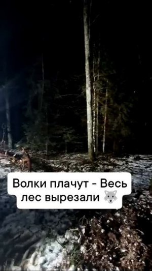 Видео от МЕТЕОР