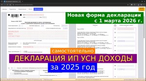 Новая форма декларации УСН за 2025 год для ИП Доходы без сотрудников