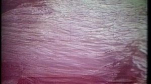 Ханка - Об озере. 1973г.