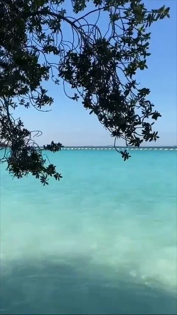 Немного моря