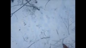 2 января 2018,2 зайца.