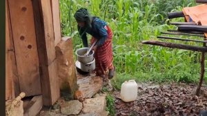 63серия/Жизнь в горной деревне Непала | в непальской бедной, но счастливой семье