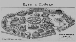 Лекция №8 Победа