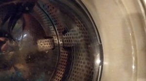 Барабан трет о манжету стиральной машины, издавая неприятный скрип