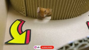 😱🦂Скорпион НАПАДАЕТ НА ДРУГА, спасая хомяка из лабиринта 🐹 В «Истории о хомяке»